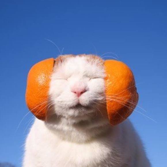 Meet your Posher, Yvonne - Picture 1 of 1